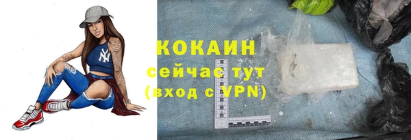 ГАЛЛЮЦИНОГЕННЫЕ ГРИБЫ Елабуга