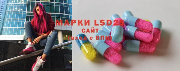 ГАЛЛЮЦИНОГЕННЫЕ ГРИБЫ Елабуга
