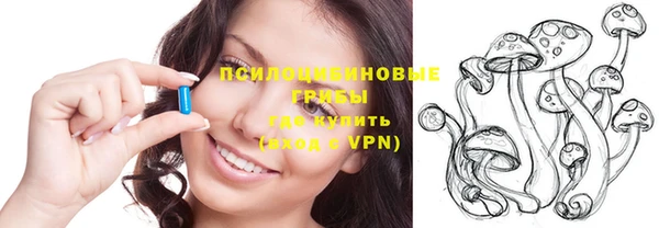 МДПВ Ельня