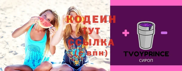 ГАЛЛЮЦИНОГЕННЫЕ ГРИБЫ Елабуга