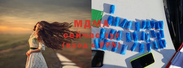 МДПВ Ельня