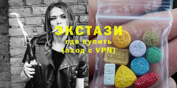 МДПВ Ельня