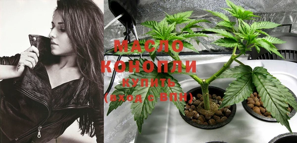 МДПВ Ельня
