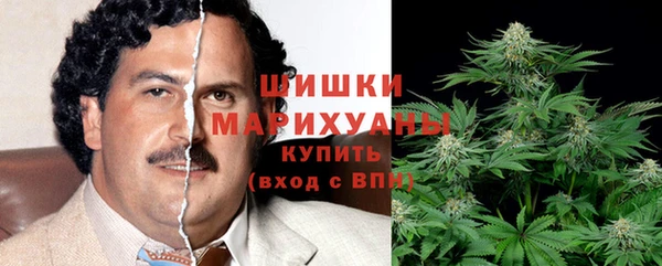 ГАЛЛЮЦИНОГЕННЫЕ ГРИБЫ Елабуга