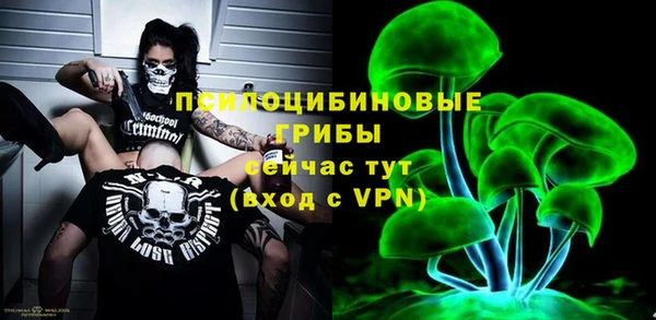 МДПВ Ельня