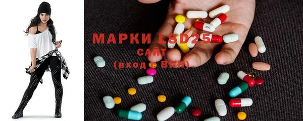 МДПВ Ельня
