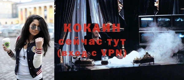 МДПВ Ельня