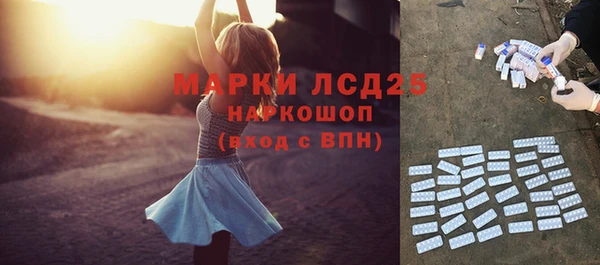 ГАЛЛЮЦИНОГЕННЫЕ ГРИБЫ Елабуга