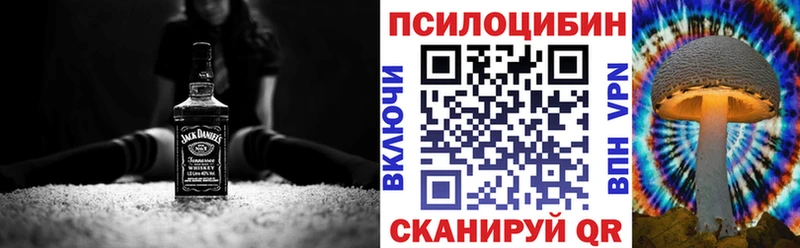 Купить закладки  Гаврилов-Ям  Галлюциногенные грибы MAGIC MUSHROOMS 